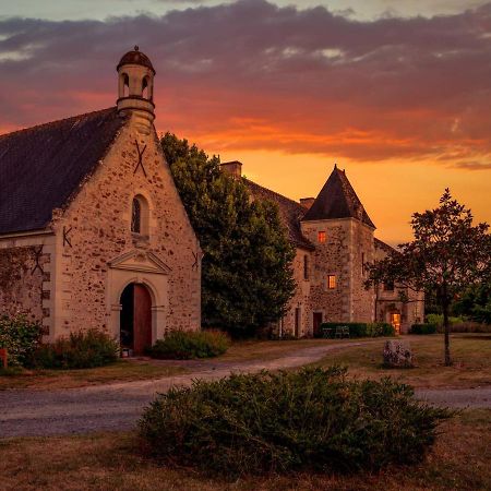Manoir De Jouralem Bed and Breakfast Blaison Buitenkant foto