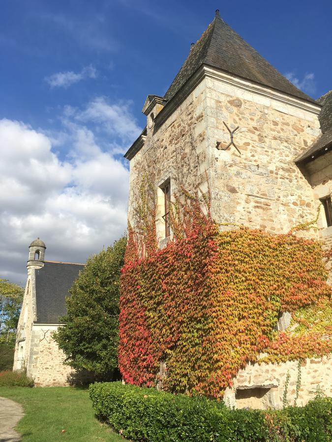 Manoir De Jouralem Bed and Breakfast Blaison Buitenkant foto