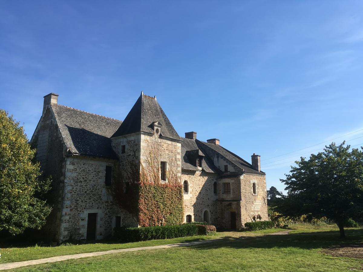 Manoir De Jouralem Bed and Breakfast Blaison Buitenkant foto