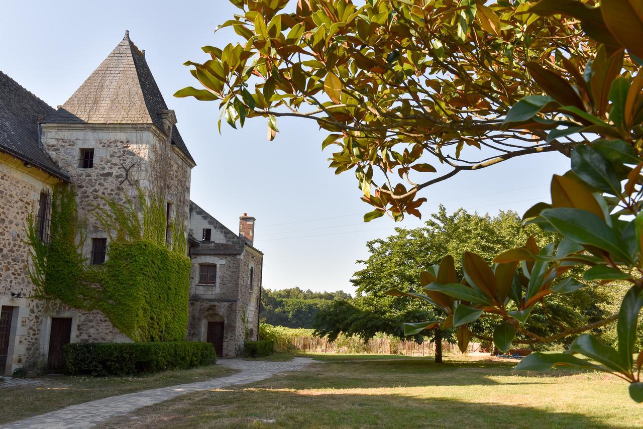 Manoir De Jouralem Bed and Breakfast Blaison Buitenkant foto